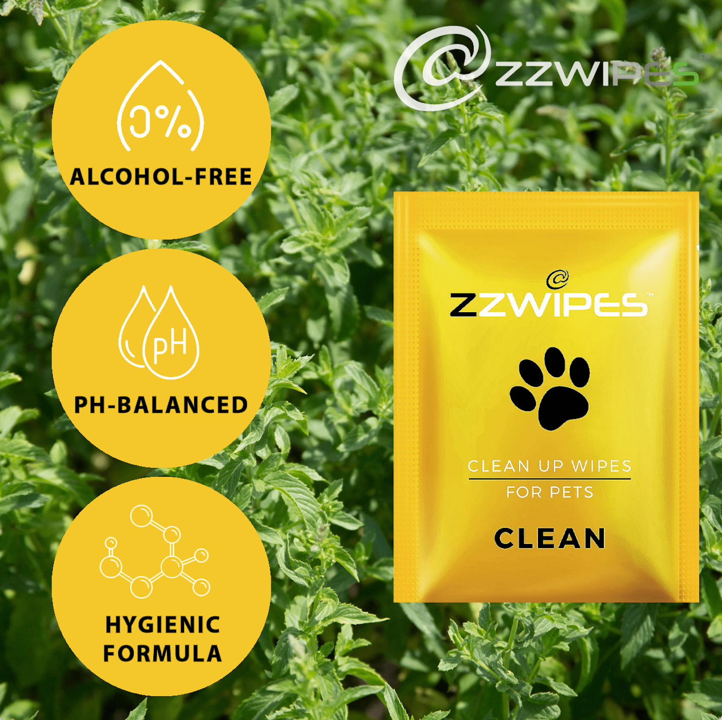 Pets Wipes - 60 Wipes